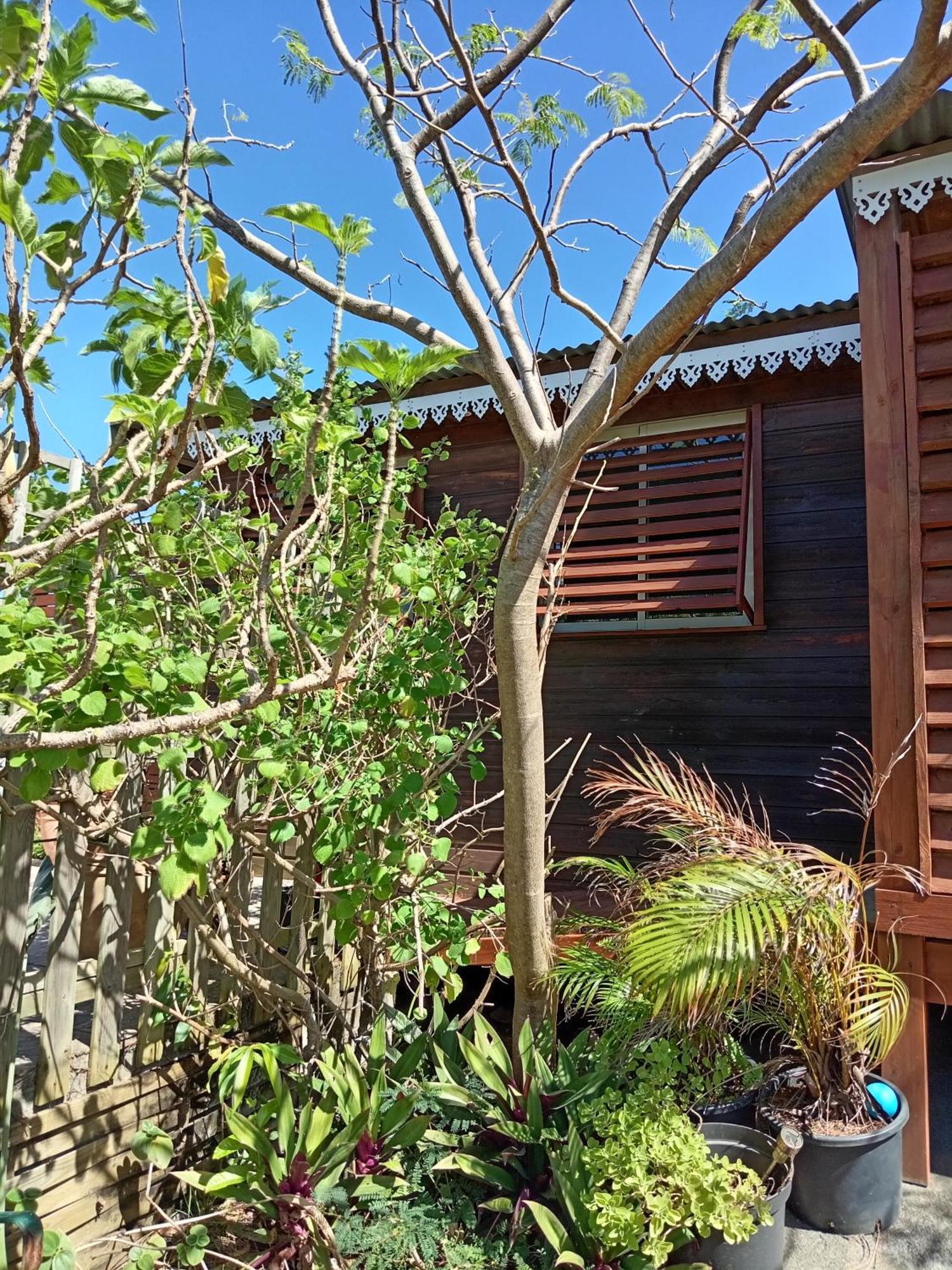 Villa Location Bord Ocean, Holi-Wood à Saint-Joseph Extérieur photo